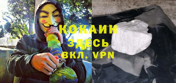 шишки Алзамай