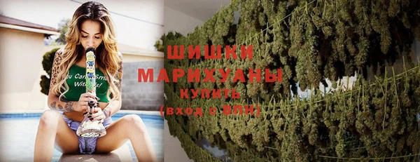 шишки Алзамай