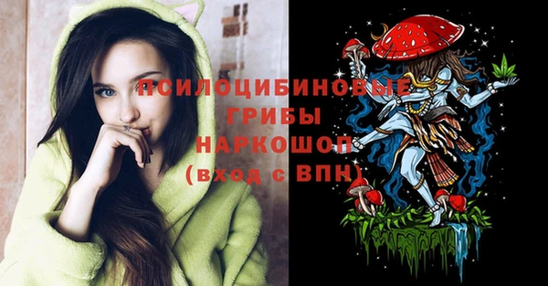 дживик Дмитровск