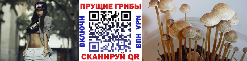 Галлюциногенные грибы Psilocybine cubensis  гидра зеркало  Крымск 